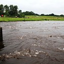 Hoogwater op de Vecht houdt aan Hoogwater op de Vecht houdt aan