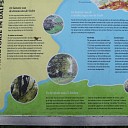 De historie van een oude waterkering van de Vecht De historie van een oude waterkering van de Vecht