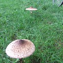Wordt het nu echt herfst?