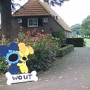 Was Wout het laatste klusje van de Dalfser ooievaars? Was Wout het laatste klusje van de Dalfser ooievaars?