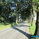 Blijven de bomen aan de Rechterensedijk staan?