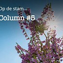 Nieuwe column Groen Gebogen: “Op de stam…”