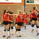 Bevers speelt met oranje gevoel Bevers speelt met oranje gevoel