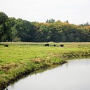 Sfeerplaatjes Sfeerplaatjes