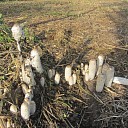 Herfstplaatje Herfstplaatje