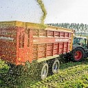 Mais oogst met kans op gladheid Mais oogst met kans op gladheid