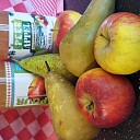 Vechtdal Appelsapproject wederom groot succes! Vechtdal Appelsapproject wederom groot succes!