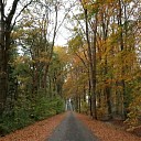 Mooie herfstfoto van de Veldhoeveweg