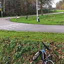 Kinderfiets in de sloot Kinderfiets in de sloot