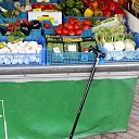 Van het stokje gegaan? Van het stokje gegaan?