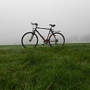 De mist overdag geeft ook wel sfeer De mist overdag geeft ook wel sfeer