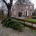 2015 Ook dit jaar weer schitterende kerstboom voor Hospice 2015 Ook dit jaar weer schitterende kerstboom voor Hospice