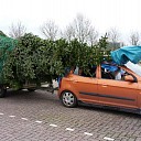 Tip van de politie Tip van de politie