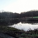 Den Berg, onderhoud, behoud en aanplant Den Berg, onderhoud, behoud en aanplant