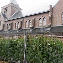 De bomen staan klaar De bomen staan klaar