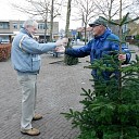 Pingelen bij de kerstbomen Pingelen bij de kerstbomen