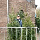 Echt de laatste bomen