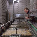 De verkoop van oliebollen en appelflappen begonnen bij de Vrienden Oost Europa