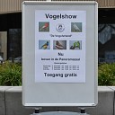 Vanaf vandaag in de Trefkoele + Grote regionale vogelshow Vanaf vandaag in de Trefkoele + Grote regionale vogelshow