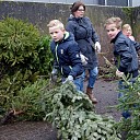 Kerstbomen inleveren Kerstbomen inleveren