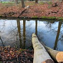 Het wateren (verduurzamen) van hout Het wateren (verduurzamen) van hout