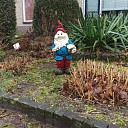 Kabouter na een avondje stappen de weg kwijt Kabouter na een avondje stappen de weg kwijt