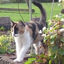 Vermist en ook deze is weer terug Vermist en ook deze is weer terug