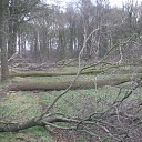 Zagen, zagen van wie is dat gemerkt hout aan de Millingersteeg Zagen, zagen van wie is dat gemerkt hout aan de Millingersteeg