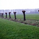 Het wachten is op de versnipperaar