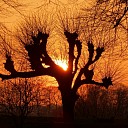 Dalfsuh bij zonsondergang Dalfsuh bij zonsondergang
