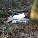 Zijn de kabouters aan het verbouwen? Zijn de kabouters aan het verbouwen?