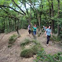 Wandelen door de Dalfser duinen