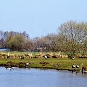 Weer mooie IVN wandeling Weer mooie IVN wandeling