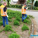 Hoonhorst schoon en onkruidvrij Hoonhorst schoon en onkruidvrij