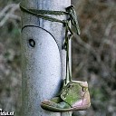 Wie de schoen past.. Wie de schoen past..