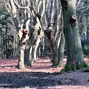 Zaterdagochtend wandeling Zaterdagochtend wandeling