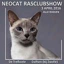 Rasclub show