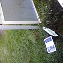 Vandalen actief bij Natuurboerderij Lindehoeve Vandalen actief bij Natuurboerderij Lindehoeve