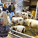 Voorjaarsweer op de voorjaarsfair