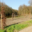 Nieuwe aanplant doet het goed Nieuwe aanplant doet het goed