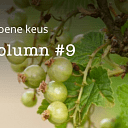 Nieuwe column Groen Gebogen is uit! Nieuwe column Groen Gebogen is uit!