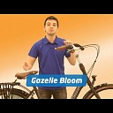 Fiets gazelle bloom gestolen Fiets gazelle bloom gestolen