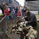 Goede weersvoorspelling Lentefair!! Goede weersvoorspelling Lentefair!!