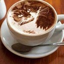 Nieuw: Koffiecaravan in het dorp! Nieuw: Koffiecaravan in het dorp!