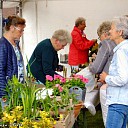 Voorjaarsmarkt in Oudleusen.