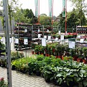 Gratis plantje bij Welkoop Dalfsen