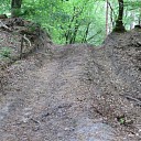 Alle paden in Het Sterrebos zijn weer geheel hersteld