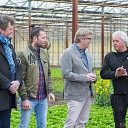 Dalfser groentekassen vanavond op SBS 6
