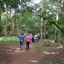 Wandelcoaching in omgeving Dalfsen voor mantelzorgers in rouw