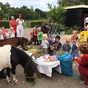 Gastouderbureau Dalfsen viert de 5e verjaardag van pony Annabel Gastouderbureau Dalfsen viert de 5e verjaardag van pony Annabel